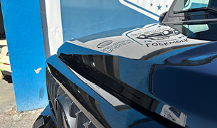 Dellentechnik